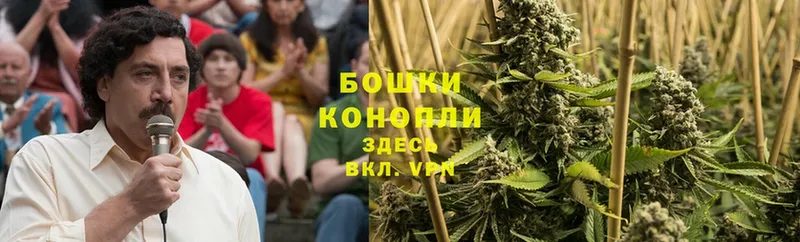 купить наркотик  OMG рабочий сайт  Шишки марихуана Ganja  Жуковка 